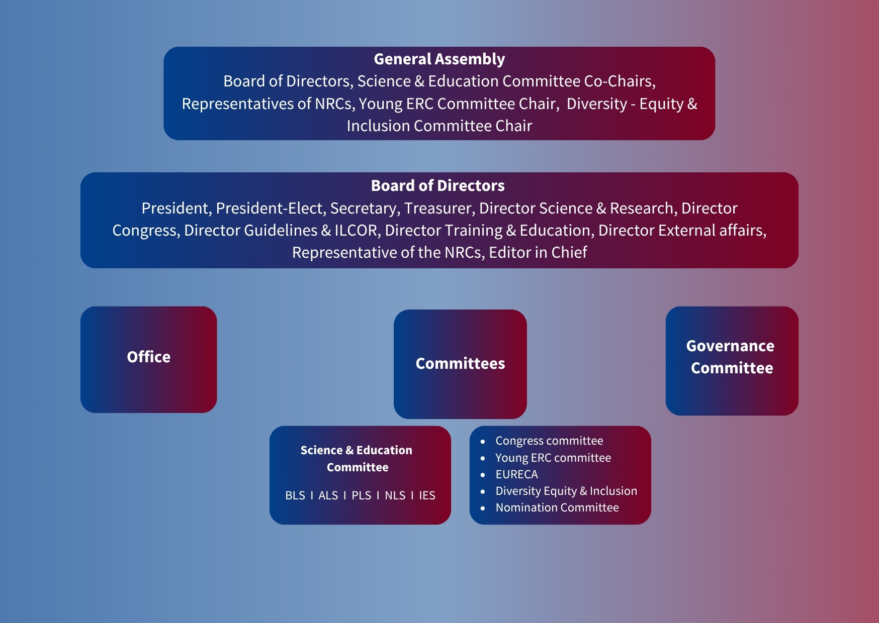 Structure of the Governance of the ERC