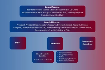 Structure of the Governance of the ERC