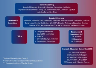 Structure of the Governance of the ERC